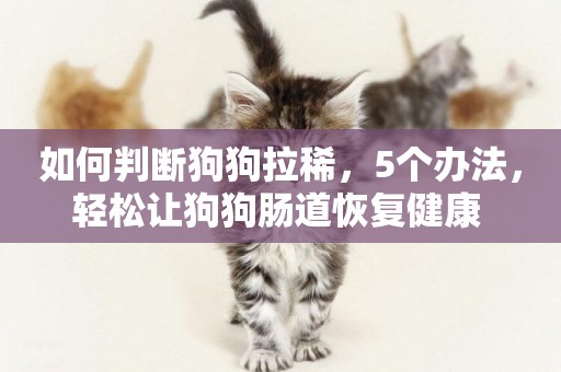如何判斷狗狗拉稀，5個辦法，輕松讓狗狗腸道恢復健康 