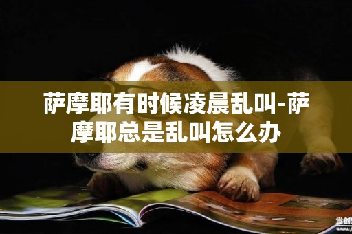 薩摩耶有時候凌晨亂叫-薩摩耶總是亂叫怎么辦