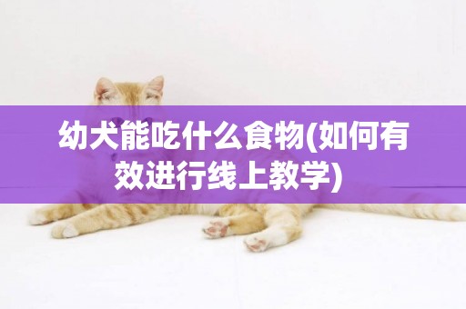 幼犬能吃什么食物(如何有效進行線上教學) 