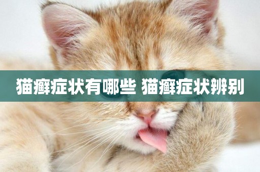 貓癬癥狀有哪些 貓癬癥狀辨別