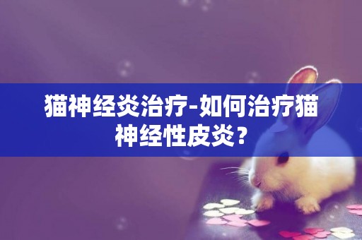 貓神經炎治療-如何治療貓神經性皮炎？