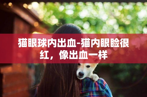 貓眼球內出血-貓內眼瞼很紅，像出血一樣