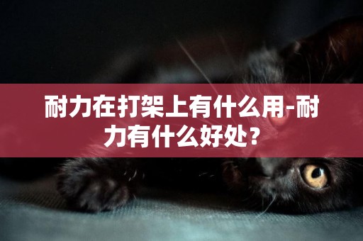 耐力在打架上有什么用-耐力有什么好處？