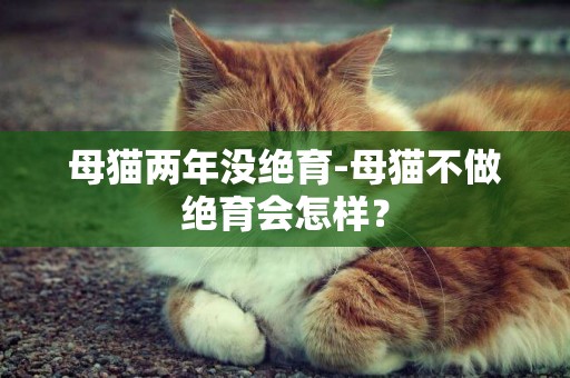 母貓兩年沒絕育-母貓不做絕育會怎樣？
