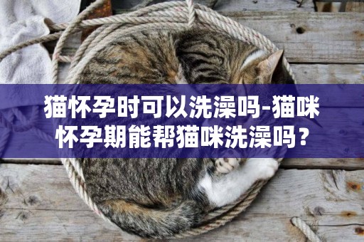 貓懷孕時可以洗澡嗎-貓咪懷孕期能幫貓咪洗澡嗎？