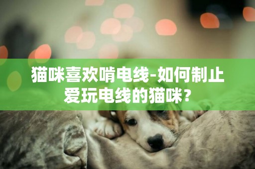 貓咪喜歡啃電線-如何制止愛玩電線的貓咪？