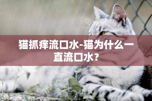 貓抓癢流口水-貓為什么一直流口水？