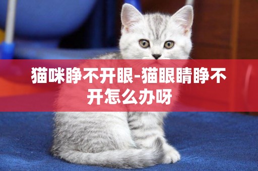 貓咪睜不開眼-貓眼睛睜不開怎么辦呀