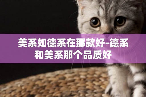 美系如德系在那款好-德系和美系那個品質好