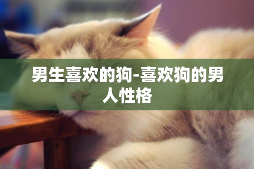 男生喜歡的狗-喜歡狗的男人性格
