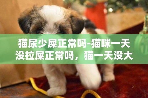 貓尿少屎正常嗎-貓咪一天沒拉屎正常嗎，貓一天沒大便只拉尿.這是為什么？