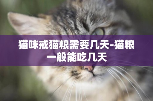 貓咪戒貓糧需要幾天-貓糧一般能吃幾天