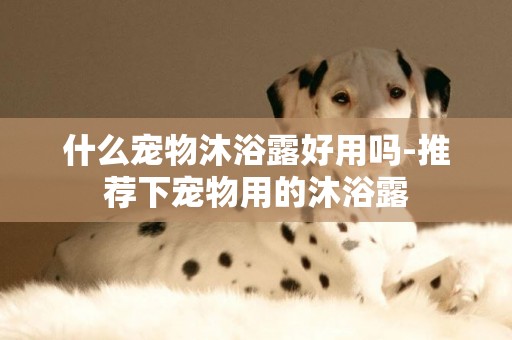 什么寵物沐浴露好用嗎-推薦下寵物用的沐浴露