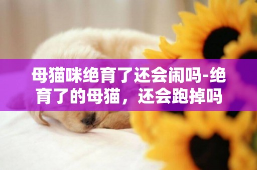 母貓咪絕育了還會鬧嗎-絕育了的母貓，還會跑掉嗎