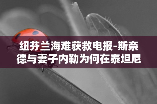 紐芬蘭海難獲救電報-斯奈德與妻子內勒為何在泰坦尼克號海難中幸運獲救？