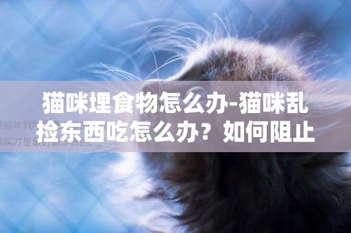 貓咪埋食物怎么辦-貓咪亂撿東西吃怎么辦？如何阻止？