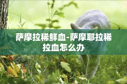 薩摩拉稀鮮血-薩摩耶拉稀拉血怎么辦