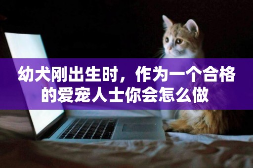 幼犬剛出生時，作為一個合格的愛寵人士你會怎么做 