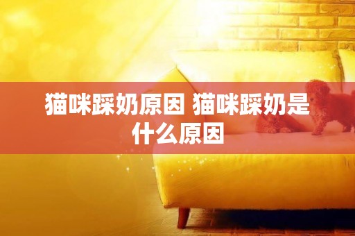 貓咪踩奶原因 貓咪踩奶是什么原因