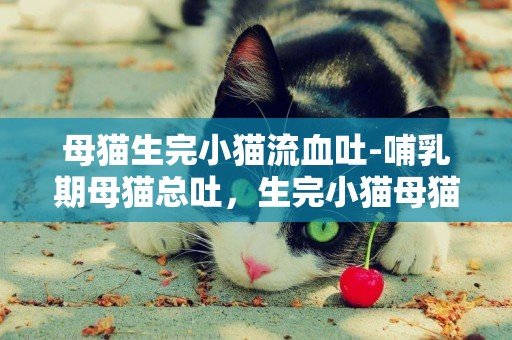 母貓生完小貓流血吐-哺乳期母貓總吐，生完小貓母貓老吐，哺乳期的母貓嘔吐