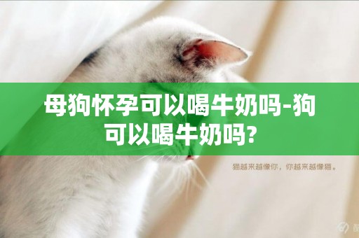 母狗懷孕可以喝牛奶嗎-狗可以喝牛奶嗎?