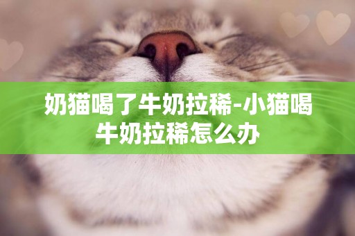 奶貓喝了牛奶拉稀-小貓喝牛奶拉稀怎么辦
