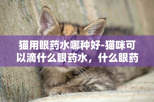 貓用眼藥水哪種好-貓咪可以滴什么眼藥水,什么眼藥水適合貓咪 貓用眼藥水哪種好-貓咪可以滴什么眼藥水,什么眼藥水適合貓咪