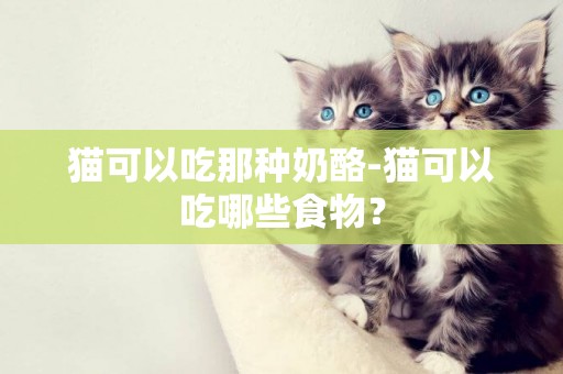 貓可以吃那種奶酪-貓可以吃哪些食物？
