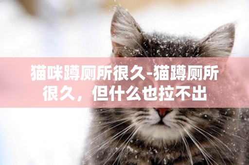 貓咪蹲廁所很久-貓蹲廁所很久,但什么也拉不出 貓咪蹲廁所很久-貓蹲廁所很久,但什么也拉不出