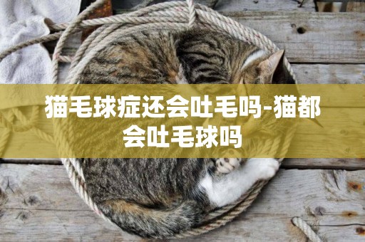 貓毛球癥還會吐毛嗎-貓都會吐毛球嗎 貓毛球癥還會吐毛嗎-貓都會吐毛球嗎