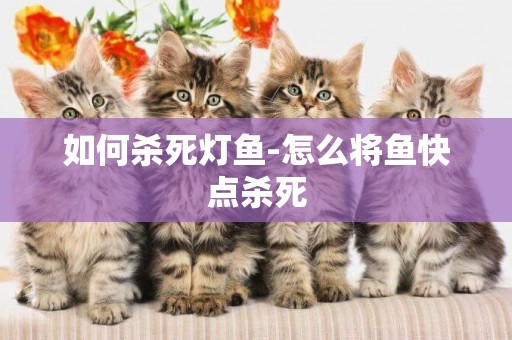 如何殺死燈魚-怎么將魚快點殺死