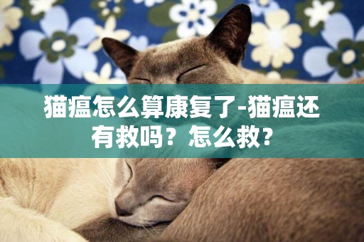 貓瘟怎么算康復了-貓瘟還有救嗎？怎么救？