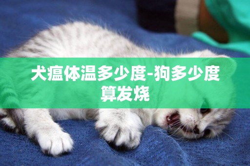 犬瘟體溫多少度-狗多少度算發燒