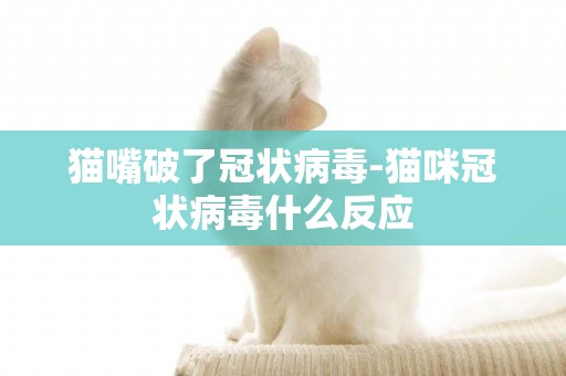 貓嘴破了冠狀病毒-貓咪冠狀病毒什么反應 貓嘴破了冠狀病毒-貓咪冠狀病毒什么反應