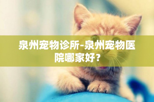泉州寵物診所-泉州寵物醫院哪家好？