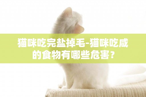 貓咪吃完鹽掉毛-貓咪吃咸的食物有哪些危害？
