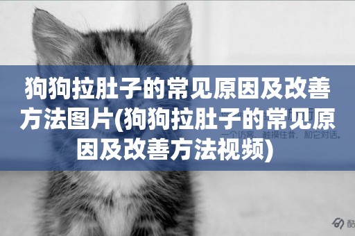 狗狗拉肚子的常見原因及改善方法圖片(狗狗拉肚子的常見原因及改善方法視頻) 