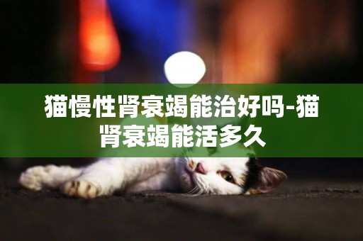 貓慢性腎衰竭能治好嗎-貓腎衰竭能活多久