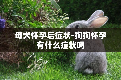 母犬懷孕后癥狀-狗狗懷孕有什么癥狀嗎 母犬懷孕后癥狀-狗狗懷孕有什么癥狀嗎