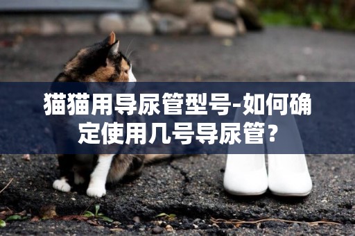 貓貓用導尿管型號-如何確定使用幾號導尿管？
