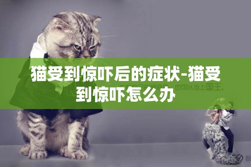 貓受到驚嚇后的癥狀-貓受到驚嚇怎么辦