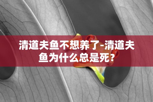 清道夫魚不想養了-清道夫魚為什么總是死？