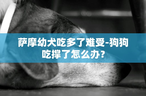 薩摩幼犬吃多了難受-狗狗吃撐了怎么辦？