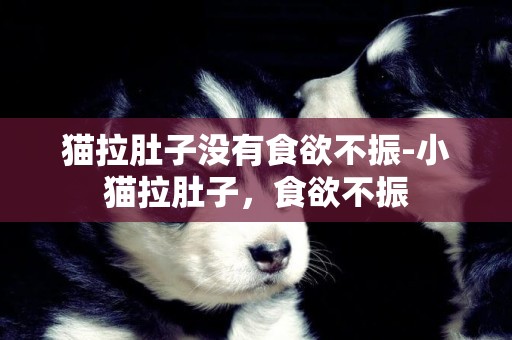 貓拉肚子沒有食欲不振-小貓拉肚子，食欲不振
