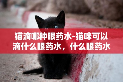 貓滴哪種眼藥水-貓咪可以滴什么眼藥水，什么眼藥水適合貓咪