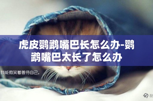 虎皮鸚鵡嘴巴長怎么辦-鸚鵡嘴巴太長了怎么辦
