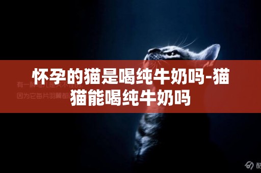 懷孕的貓是喝純牛奶嗎-貓貓能喝純牛奶嗎