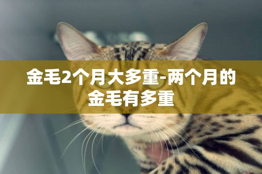 金毛2個月大多重-兩個月的金毛有多重