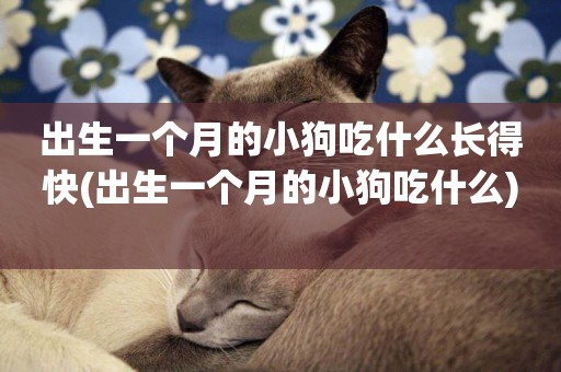 出生一個月的小狗吃什么長得快(出生一個月的小狗吃什么) 