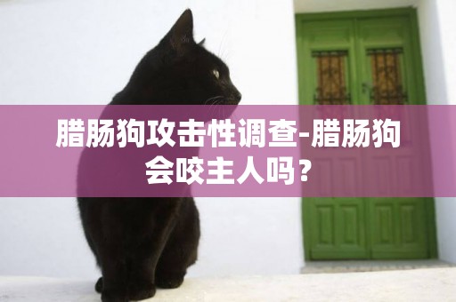 臘腸狗攻擊性調查-臘腸狗會咬主人嗎？